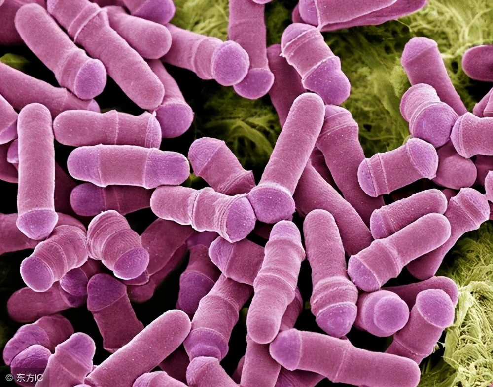 怎么证明没脚气,没有药如何处理脚气