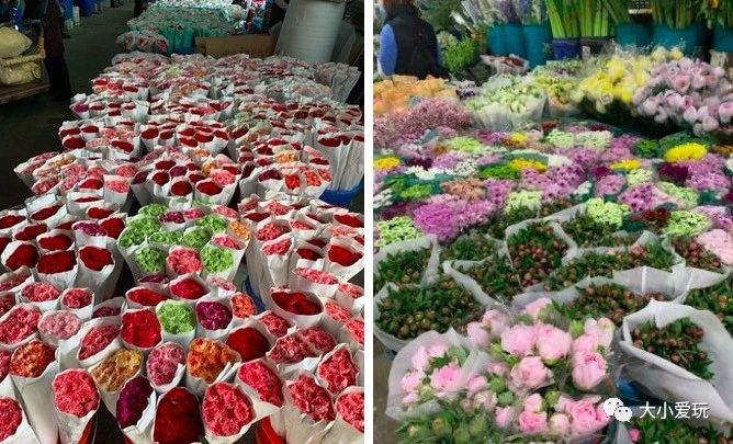 过年必逛花卉市场,北京值得去的花卉市场