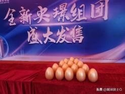 2019年广东抄底置业指南，置家创展最新数据曝光