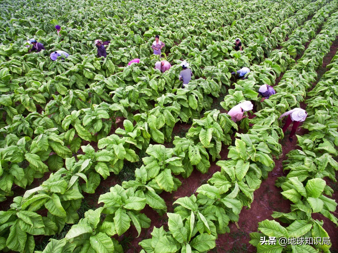 这个中原大省的命运是被什么改变的？地球知识局