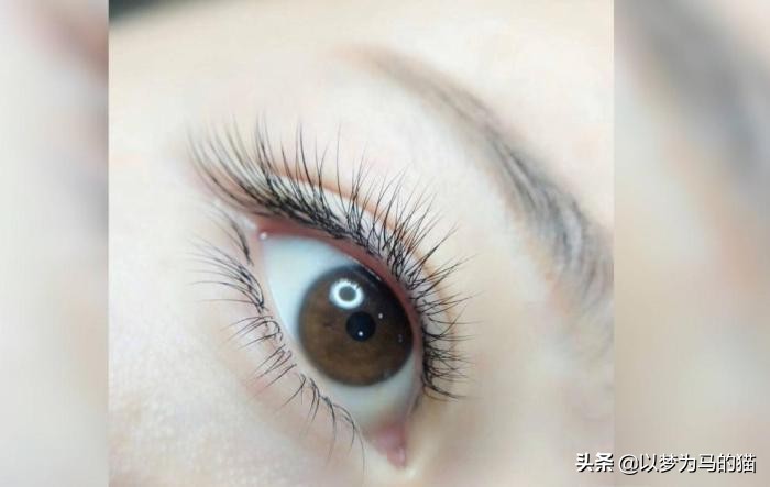 零基础没学历学什么最快找工作,低学历学什么容易找工作