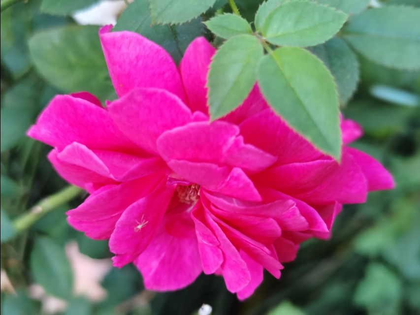 新高一家长需要了解什么,高一父母应该怎么做