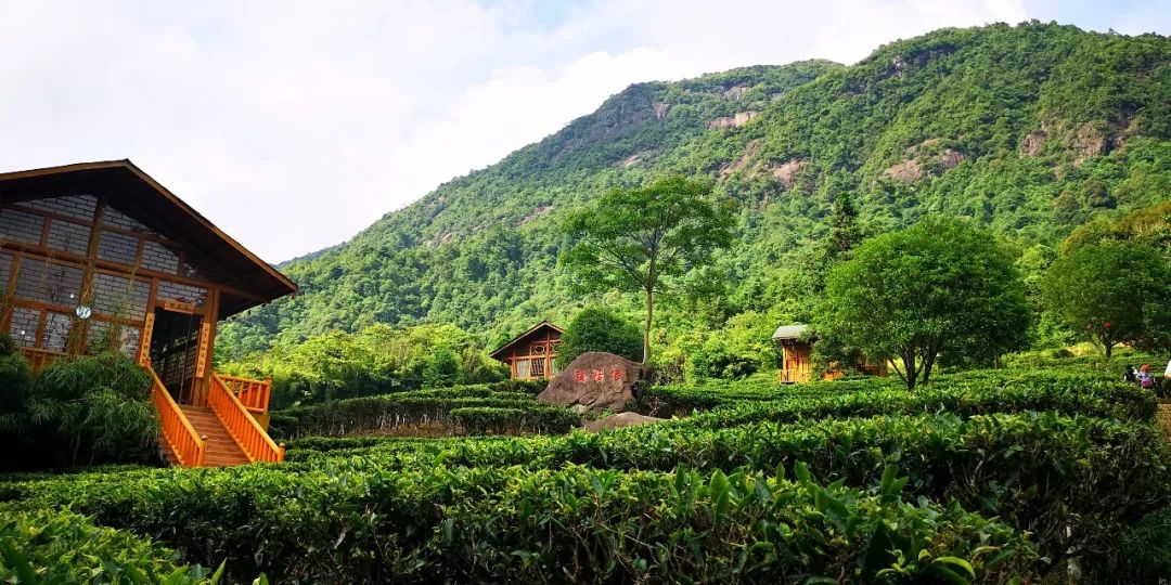 贺州姑婆山景区国家森林公园,贺州姑婆山森林公园路线