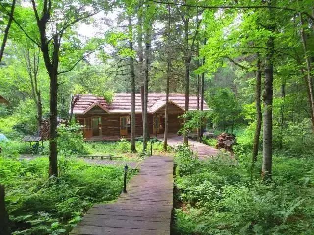 哈尔滨自驾三亚边走边玩最佳路线,哈尔滨到漠河自驾旅游攻略10天