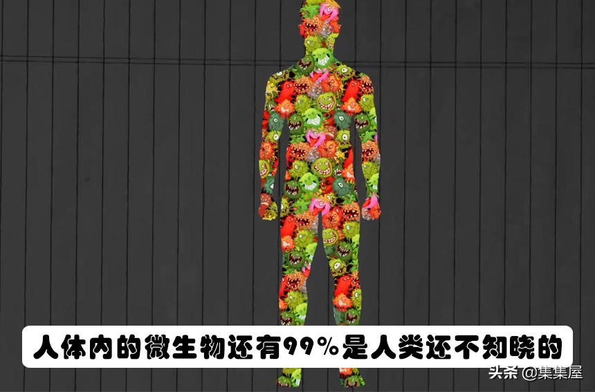 有趣的网络小知识,网络世界确实很有趣