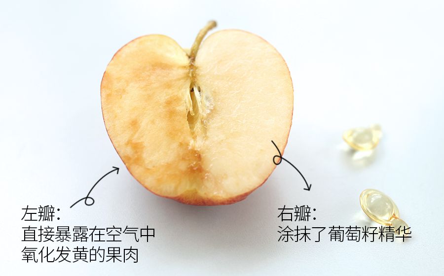 琚佸濮楁帹鑽愯憽钀勭苯鎶よ偆,琚佸濮楄憽钀勭苯绮惧崕