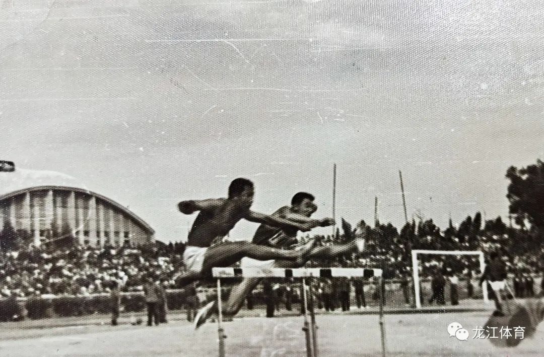 刘振坤,刘振坤洛克王国