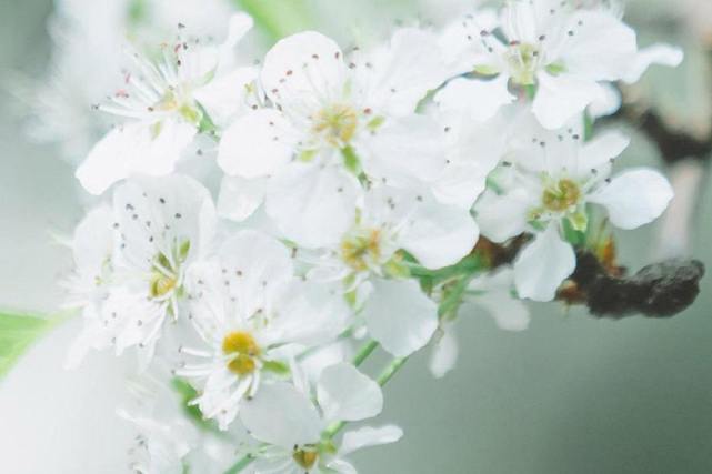 城府不深最值得交往的三大星座,这几个星座从不轻易吐露真情