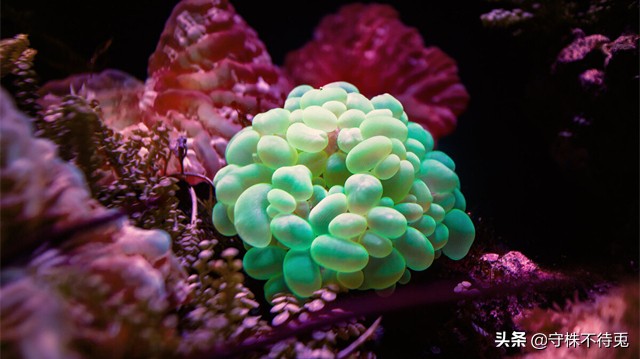 24个冷知识真实有趣的存在,22个有趣又奇怪的冷知识