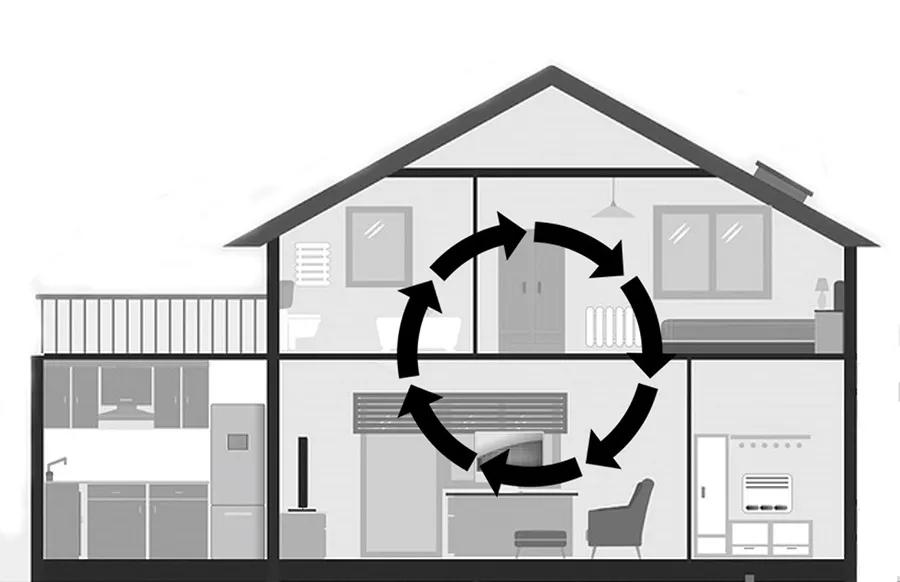 除甲醛排名第一的植物是绿萝吗,新房除甲醛是植物好还是活性炭好