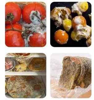 冰箱除臭保鲜神器,冰箱抗菌除臭保鲜棒