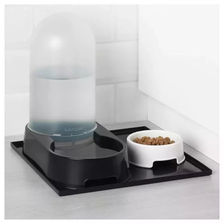 小佩闷死猫事件,小佩猫窝闷死猫