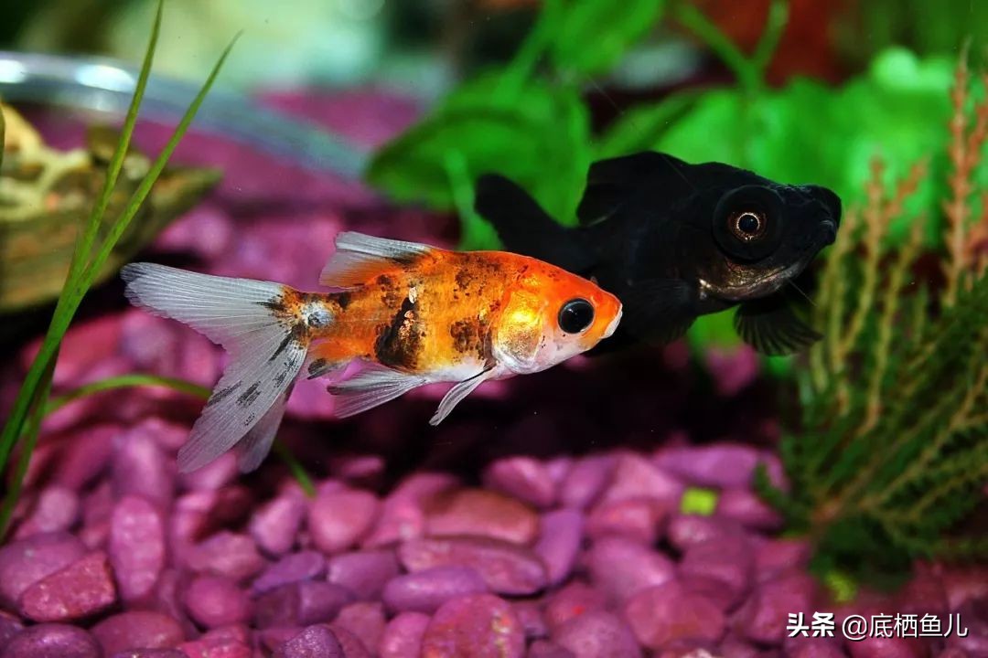 树脂材质的假山怎么样,树脂做假山造型视频