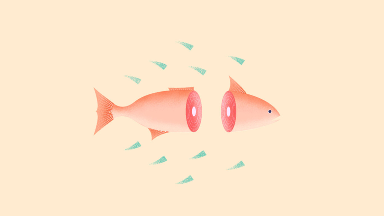 鱼油和磷虾油是智商税吗,吃深海鱼油是不是在交智商税