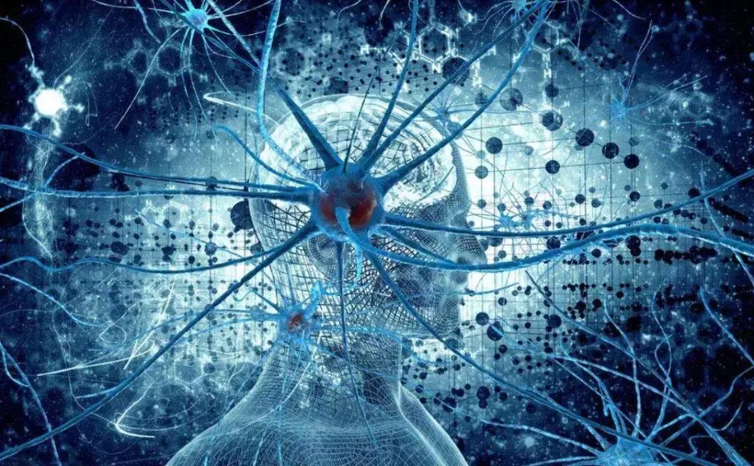 小学孩子快速的记忆方法,学习的记忆方法