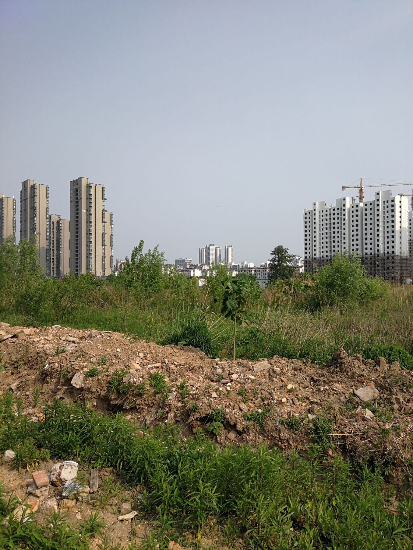 江阴锡澄运河的历史,锡澄运河老照片