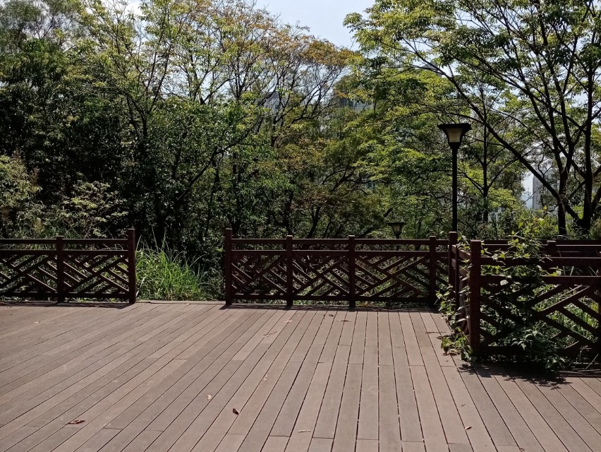 芳姐最后的下场,芳姐到底有没有死