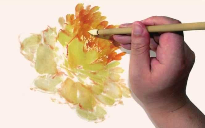 国画知识：牡丹不会画？教你3种牡丹画法，简单易学，快收藏起来