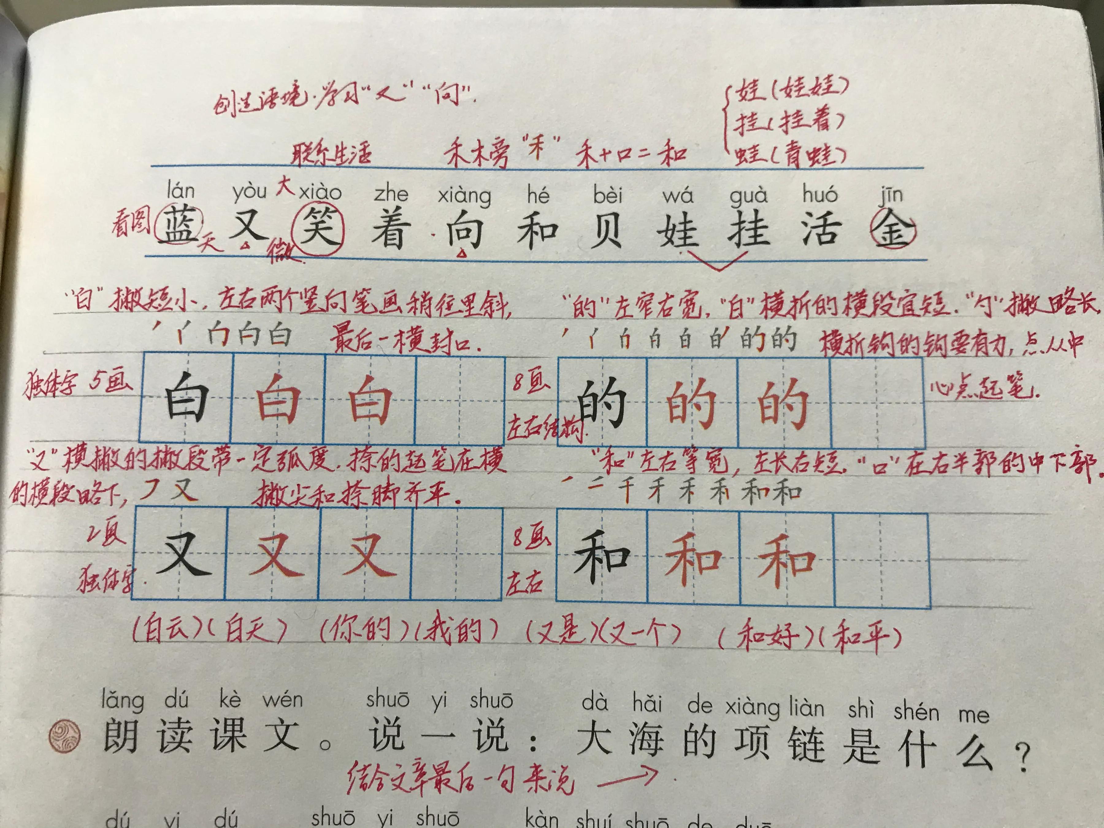 一年语文《项链》，看资深教师手写笔记，帮助学生们学语文