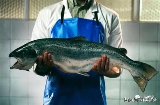 十种最美味海鲜,100种常见海鲜大全图