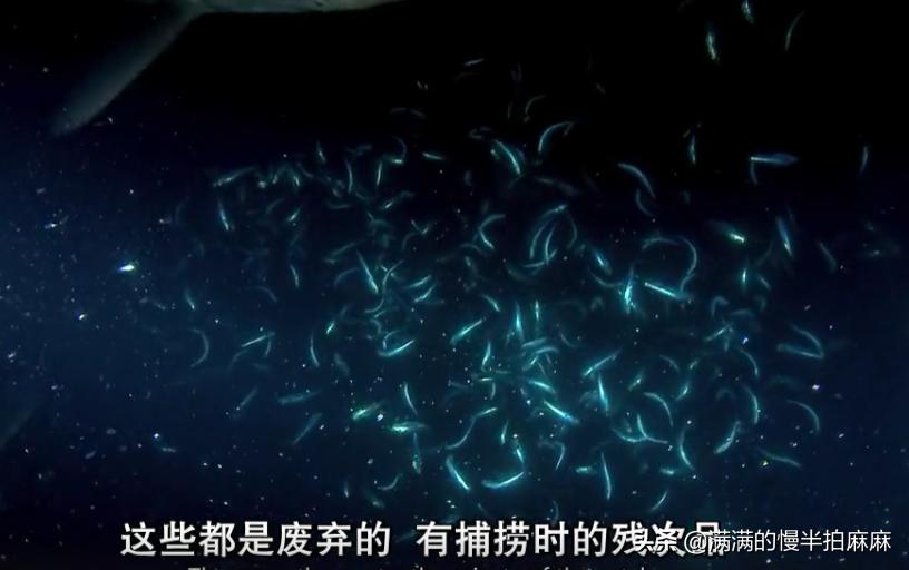 富二代晒人骨皮包的真相完整版,富二代晒人骨皮包图片