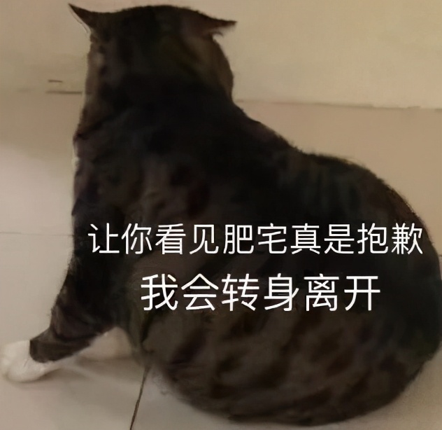 减肥也可以吃的低卡零食有哪些,什么零食低卡吃了以后还能瘦