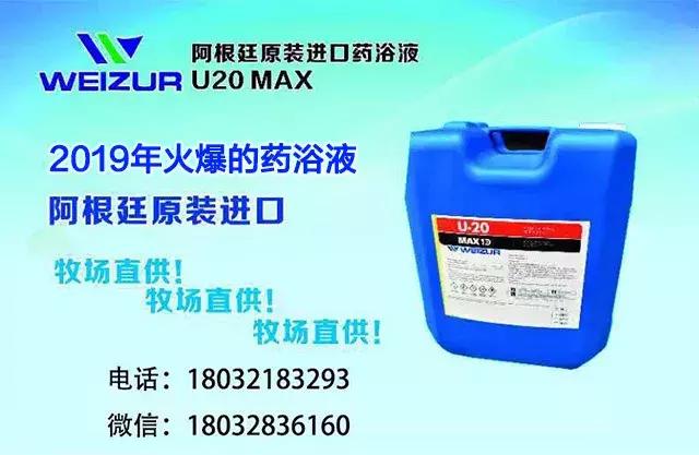 犇牛牧业招聘信息,牛犇犇串串火锅招聘