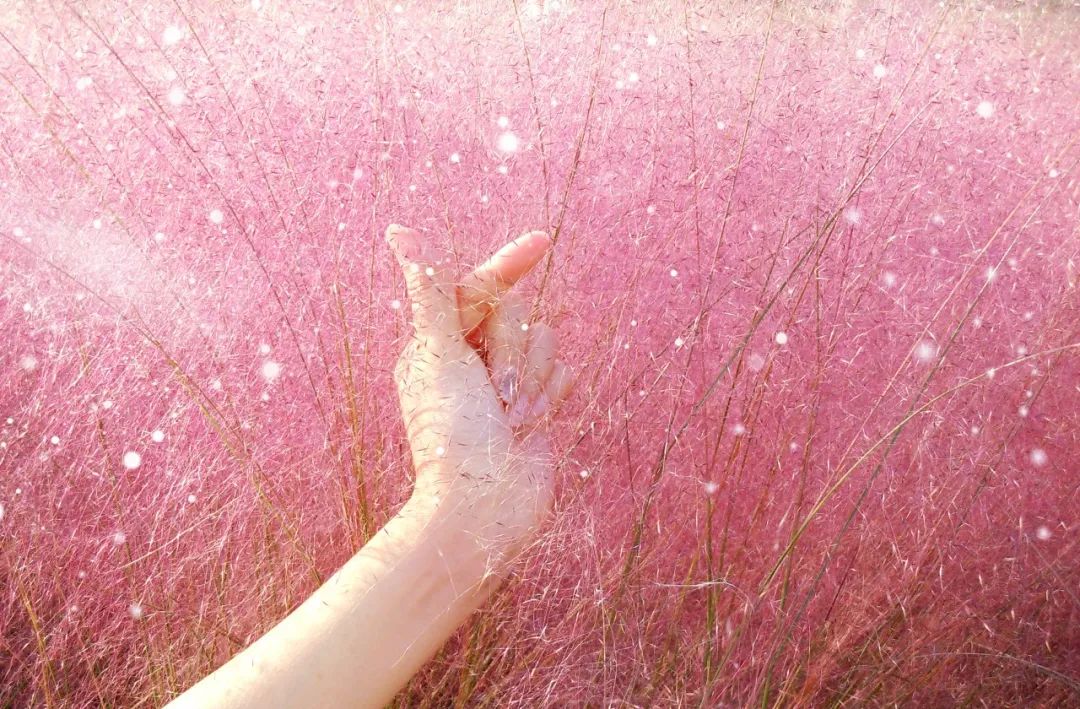 南京小众景点,南京小众花园秘境