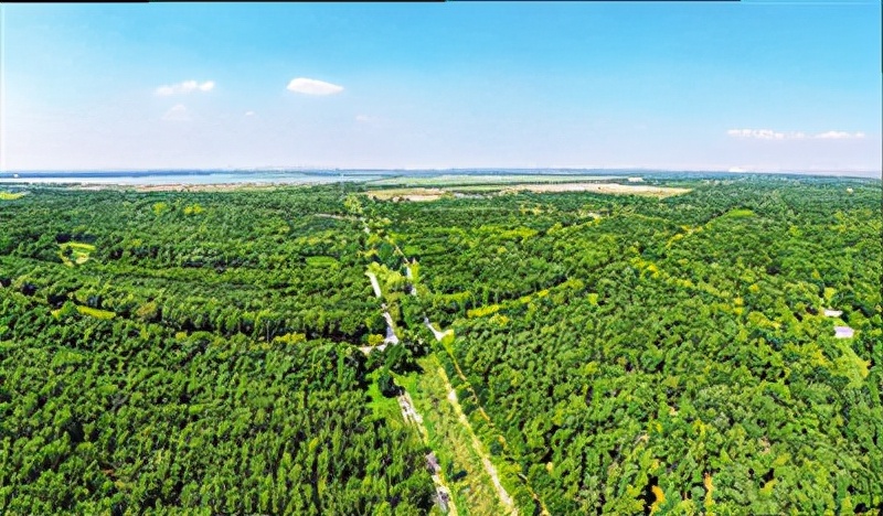 不必远行公园就在家门口合肥,不必远行公园就在家门口