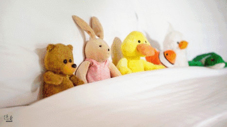 去马尔代夫为什么报团便宜,去马尔代夫的九大理由