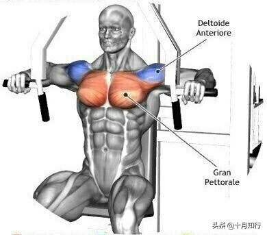 把胸肌练宽,把胸肌练大健身房动作