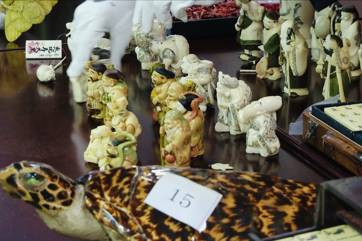 奇葩玩具变形动物,另类奇怪玩具