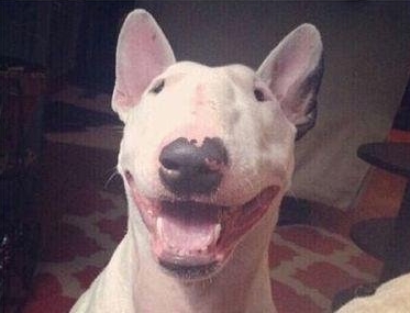 烟酰胺维c润肤乳真能美白吗,维生素c烟酰胺真的能美白皮肤吗