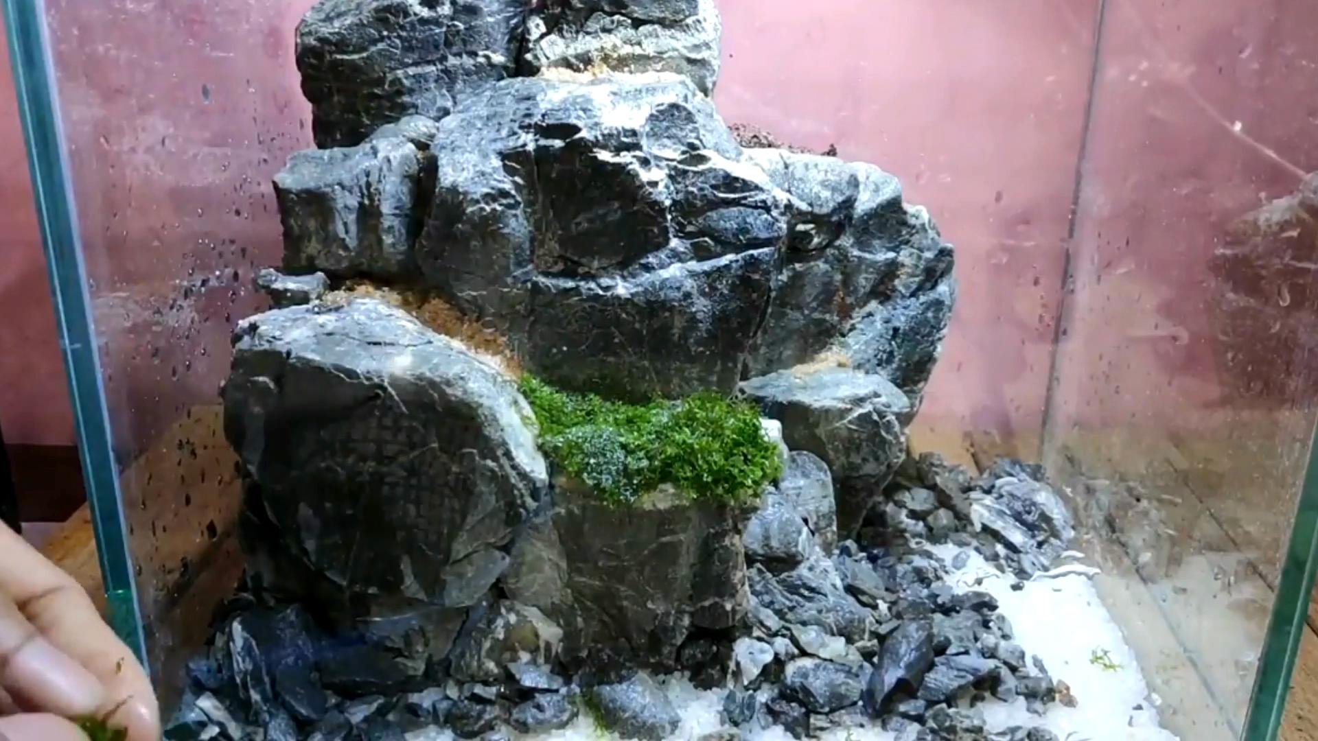 水陆缸石头拼接造景教程,真石头假山拼接造景