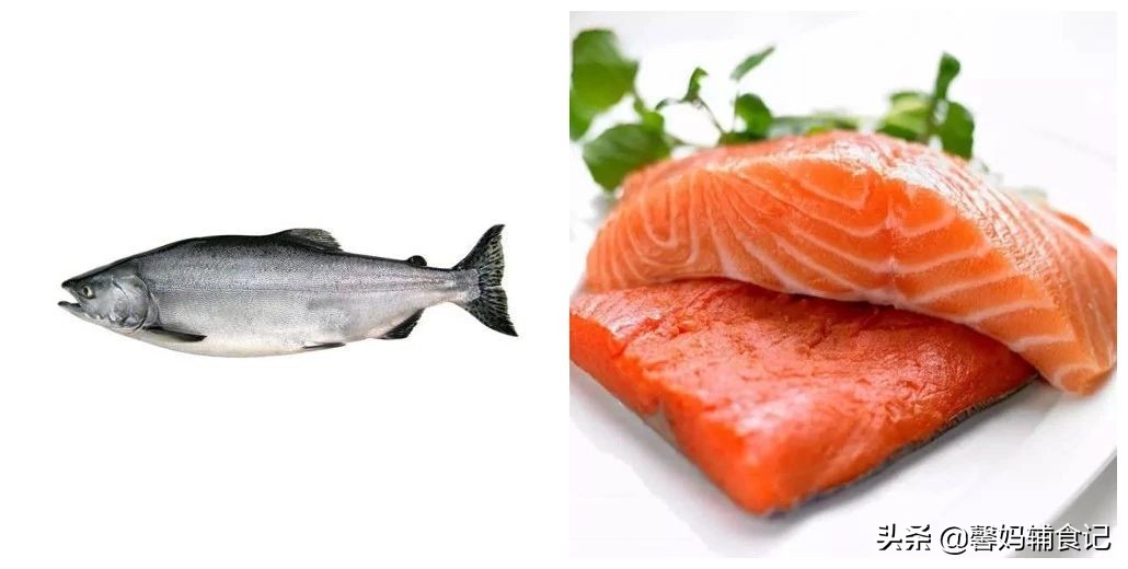 多大的宝宝可以吃三文鱼辅食,三文鱼肠多大婴儿能吃