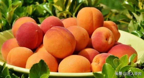 桃子成熟了怎么管理,桃子个头长小怎么办
