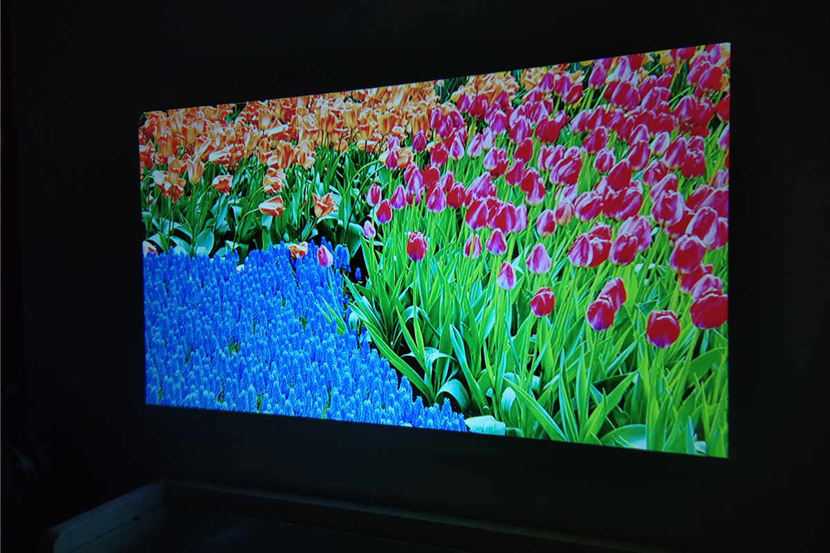 瑞格尔rd806投影机可以连wifi吗,瑞格尔rd806投影机能连手机吗