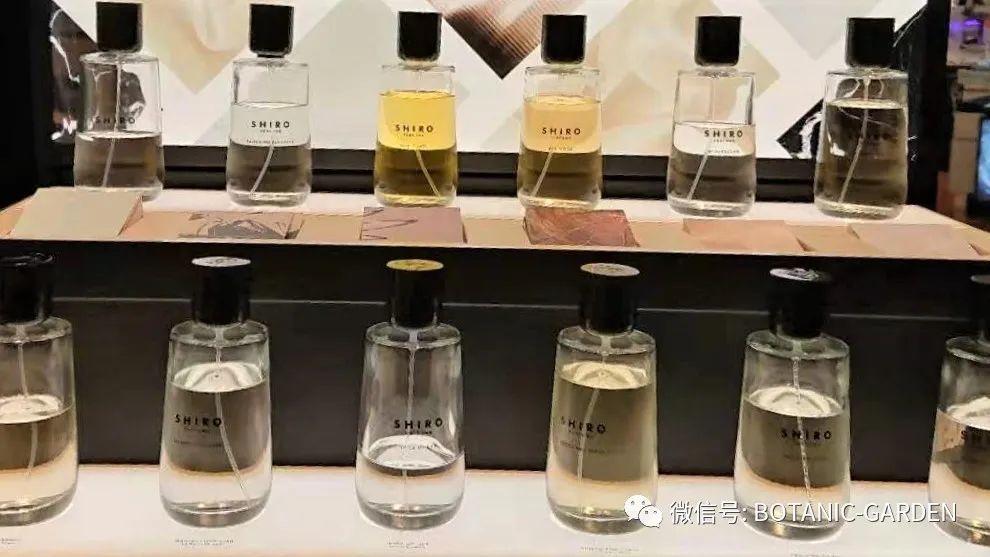 A-Z理研理化研究所简介