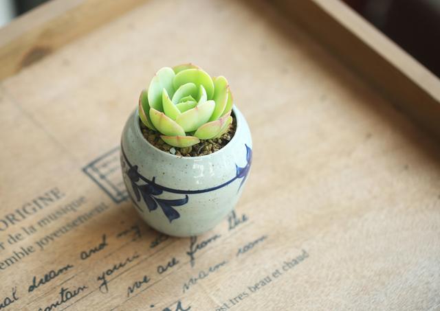 六月情感语录短句,五月的心灵鸡汤句子