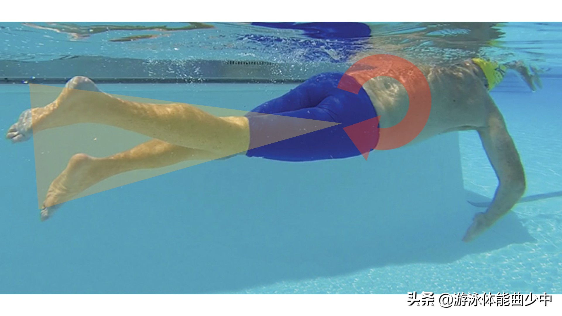 游泳初学者会有什么问题,游泳初学者的常见误区