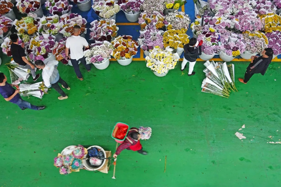 到云南，走出一条「花路」