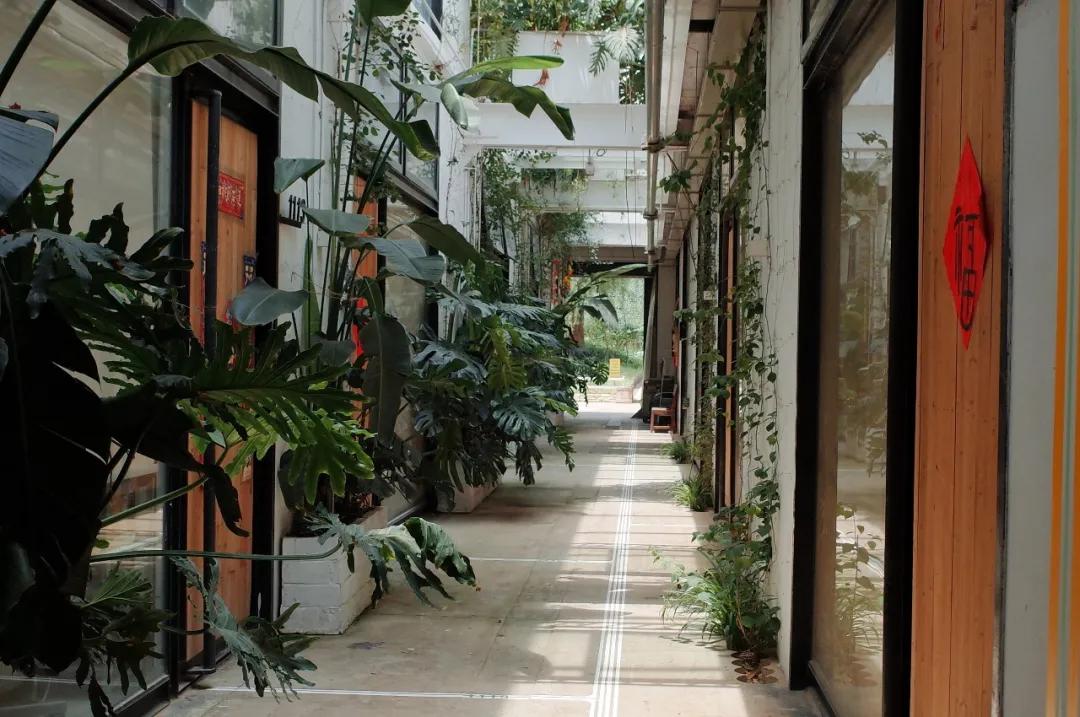 杭州西湖人少景美的地方,杭州人少景美免费景点