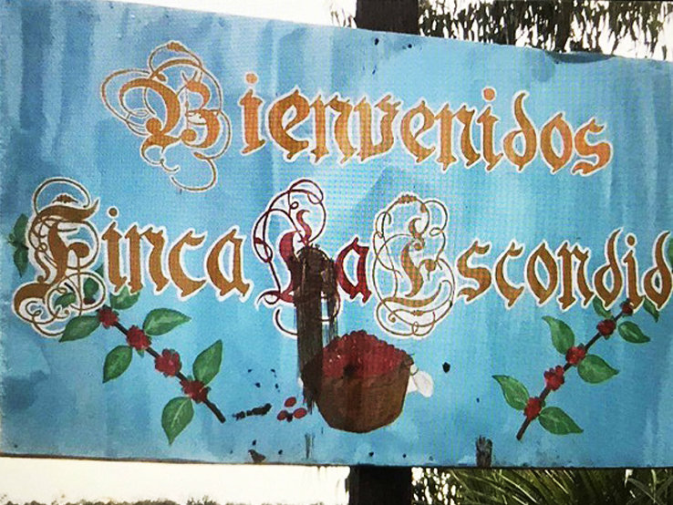 肯尼亚咖啡豆产区,世界四大产区顶级阿拉比卡咖啡豆