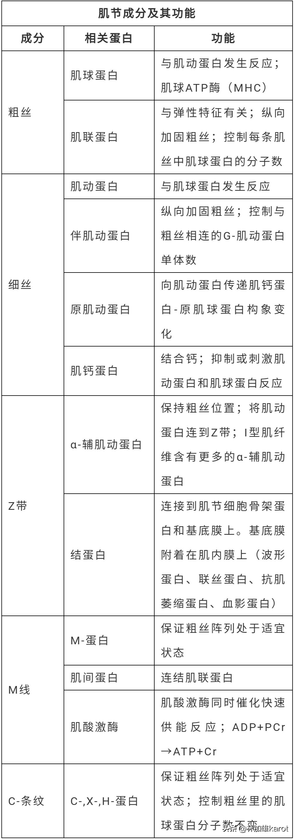 肌组织的实验原理,人体脸部的肌肉组织属于什么肌