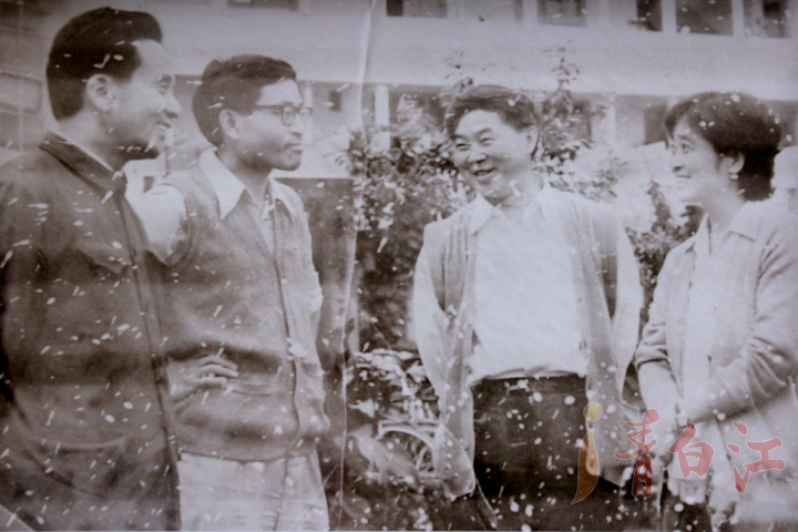 青白江最美的女神,青白江最美的校花