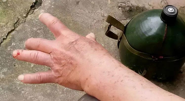 开瓶后窜出咬人的蛇为何蛇在酒中泡这么久不死