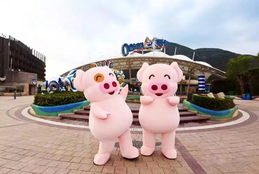 香港海滨长廊圣诞节,香港圣诞打卡地唯美视频