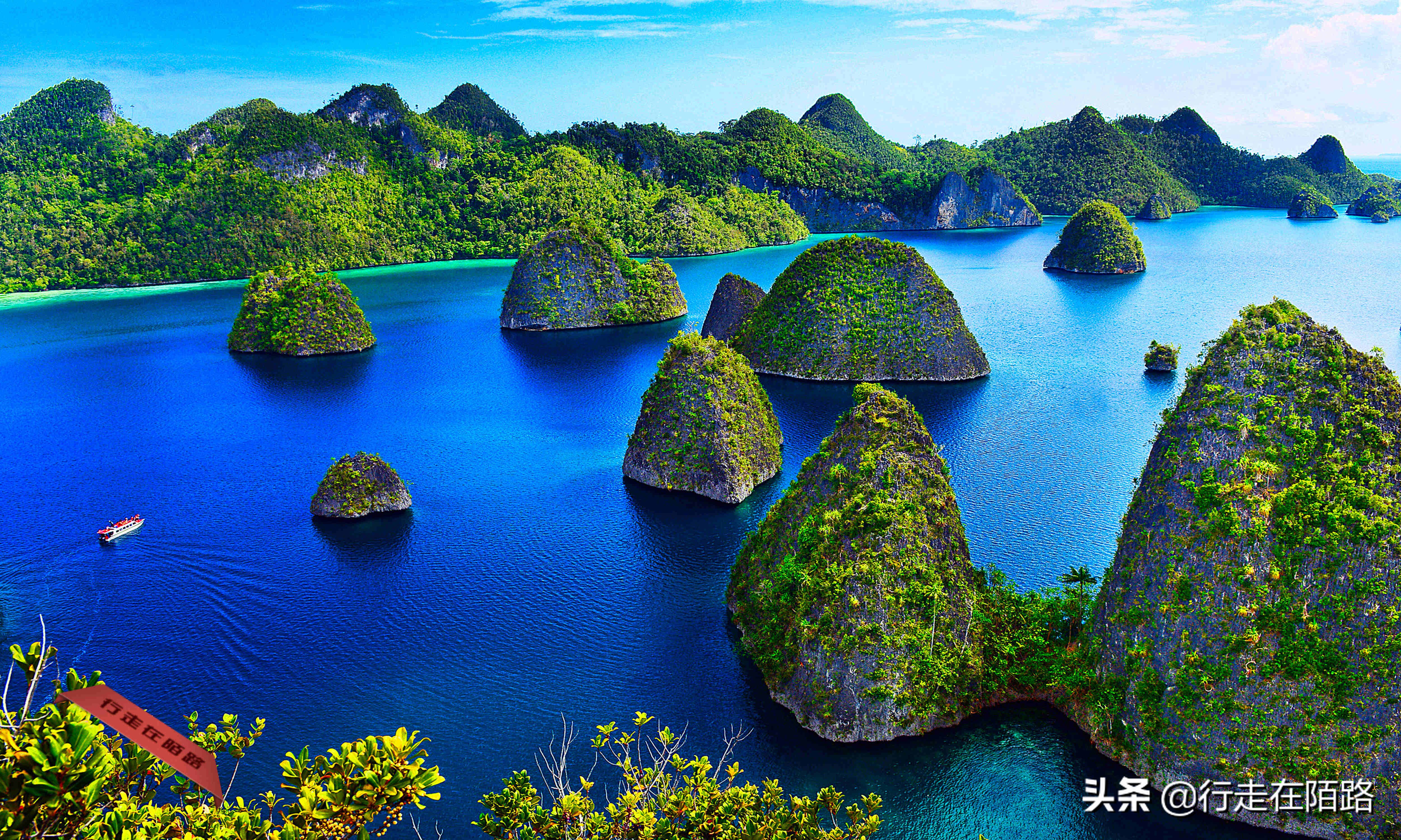 泰国沙巴岛旅游费用,帕劳四王岛