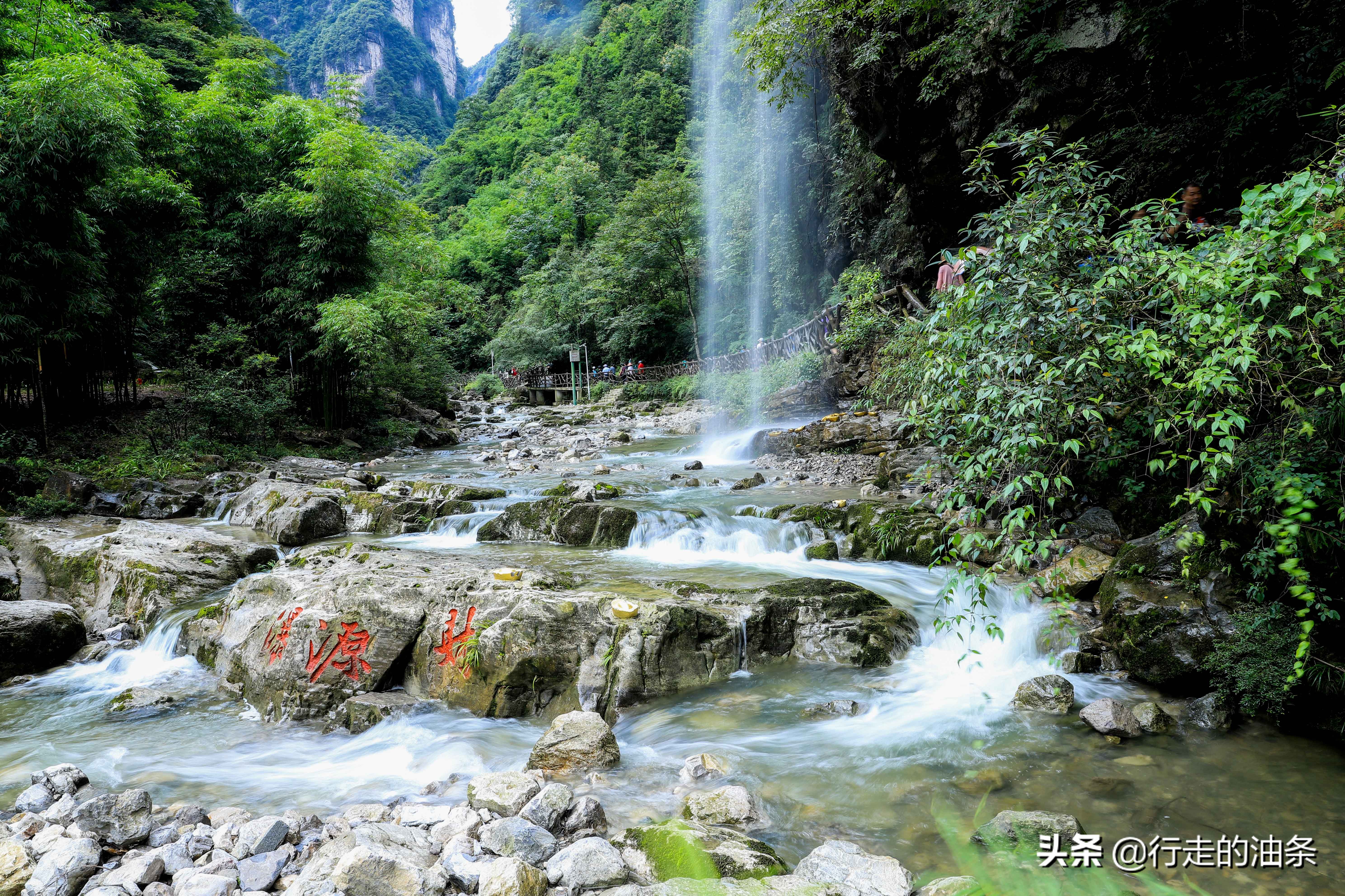 三峡竹海秭归,秭归三峡竹海