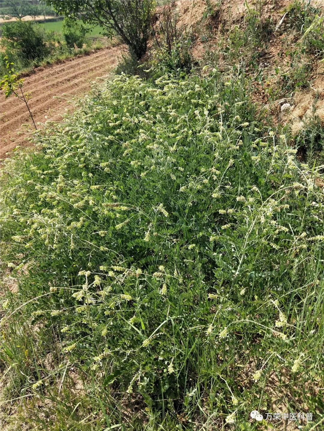 跟我回家在线免费看,跟我回家免费看